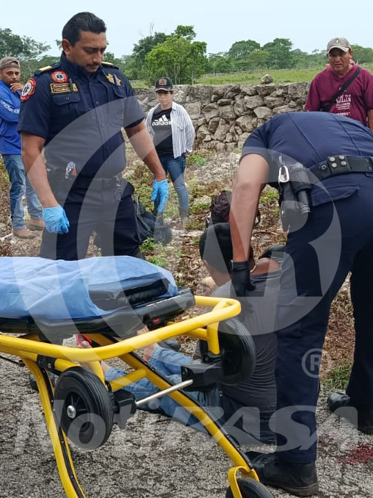 Provoc&oacute; perro accidente en la carretera Buctzotz&ndash;Yalsih&oacute;n