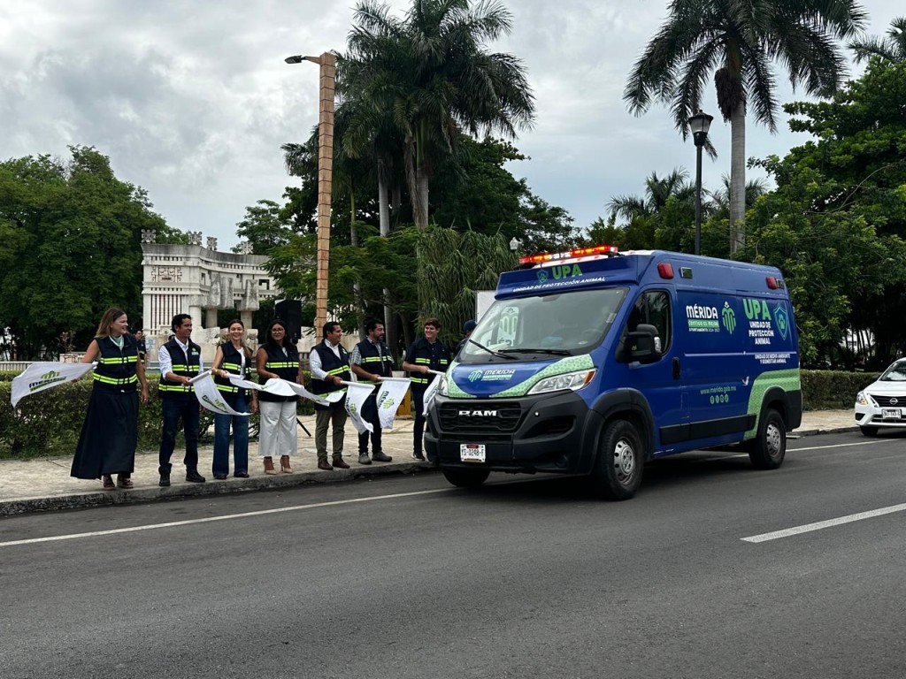 Realizan primer mega operativo de protecci&oacute;n animal en M&eacute;rida