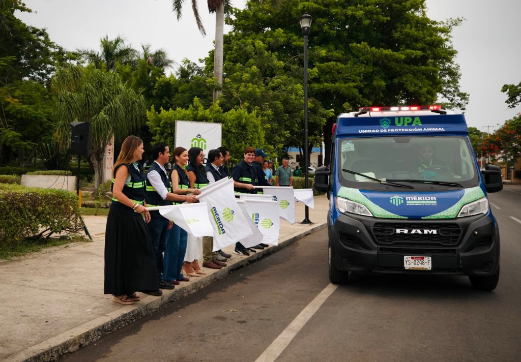 El Ayuntamiento de Mérida sumará a la ciudadanía en los mega operativos de protección animal