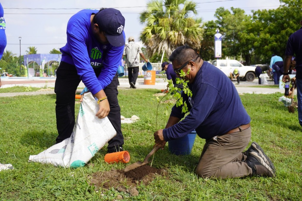 Avanza la Cruzada Forestal con la siembra de m&aacute;s de 4,700 &aacute;rboles, en M&eacute;rida