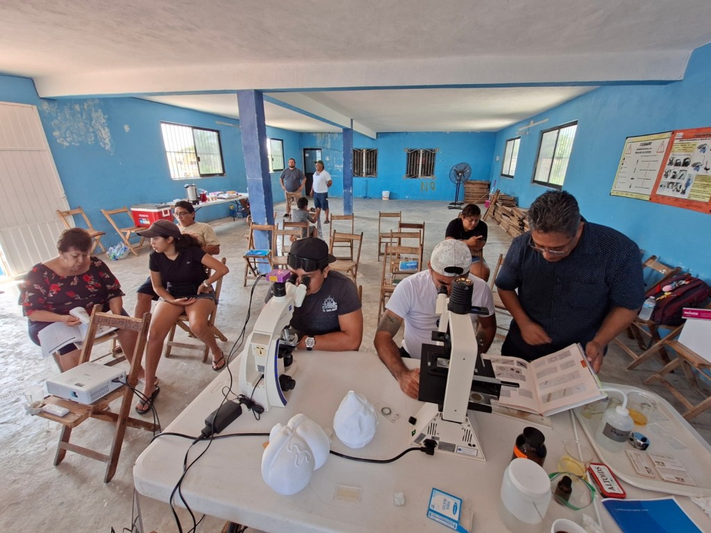 Imparten cursos en Río Lagartos y San Felipe para identificar con anticipación la “Marea Roja”