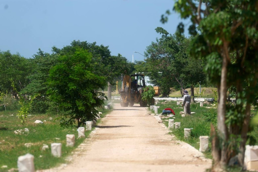 Avanza ayuntamiento en la construcción del primer corredor verde en Mérida