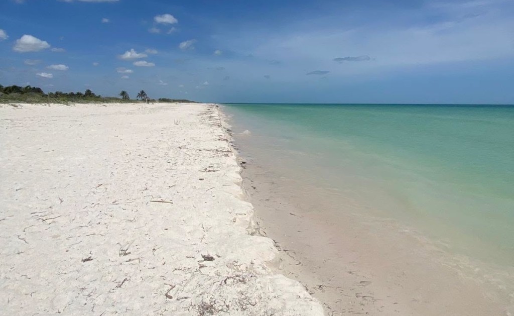 Se posiciona El Cuyo como el &ldquo;Tesoro Escondido&rdquo; de Yucat&aacute;n