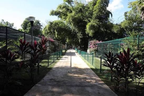 Mejoran instalaciones del zool&oacute;gico de Tizim&iacute;n para fortalecer el bienestar animal