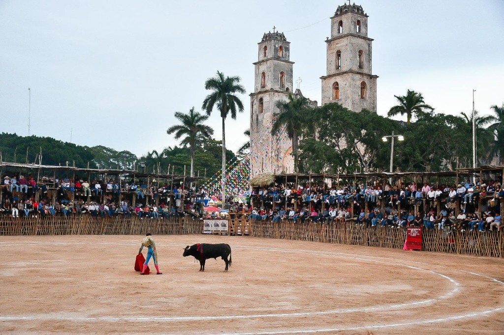 Promueven amparos Animal Héroes y PETA Latino para no permitir corridas en Yucatán y ya cancelaron en varios municipios