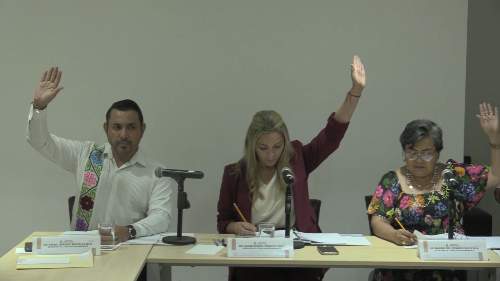 Aprueban Comisiones Unidas cronograma para consulta p&uacute;blica a personas con discapacidad