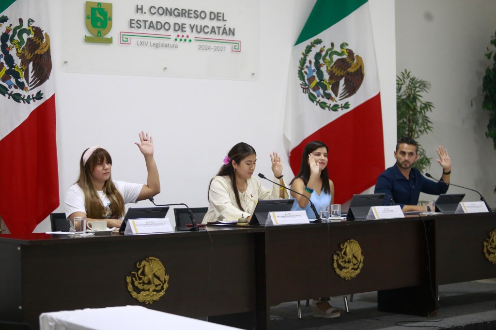 Comisiones Unidas continúan el proceso rumbo a los foros de consulta a personas con discapacidad