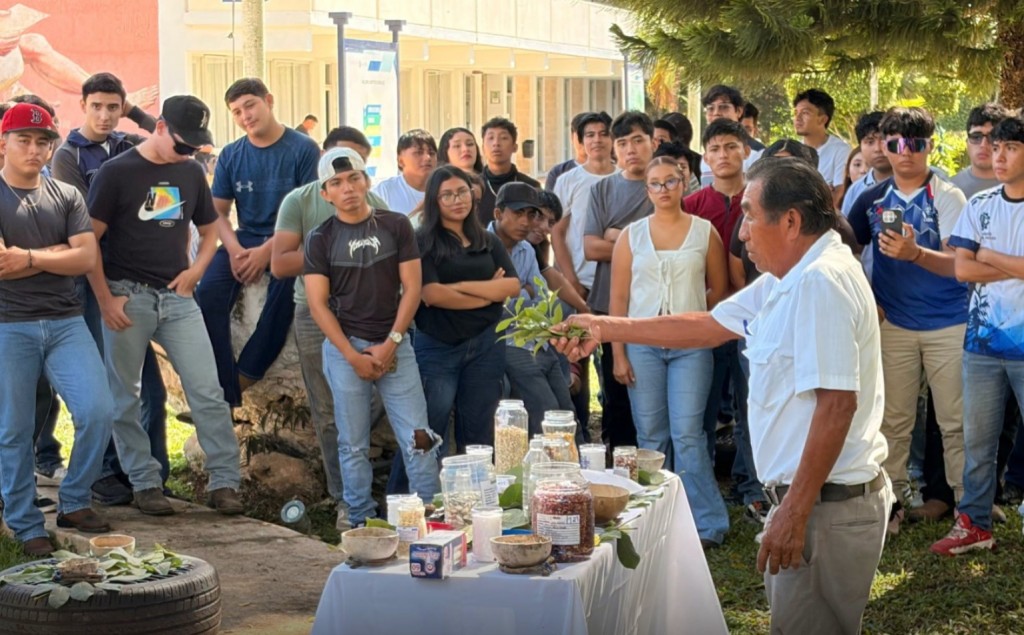 Celebran al maíz como símbolo de identidad y futuro, en Tizimín
