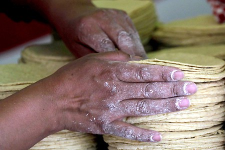 Mostrarán resultados del apoyo federal  a la industria molinera en Yucatán