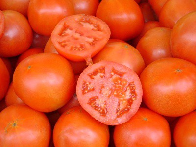 Las lluvias y los intermediarios, causantes del alza del tomate yucateco