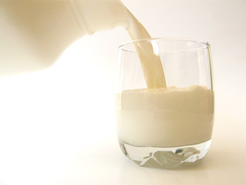 La leche en Yucatán no cumple estándares para exportación 