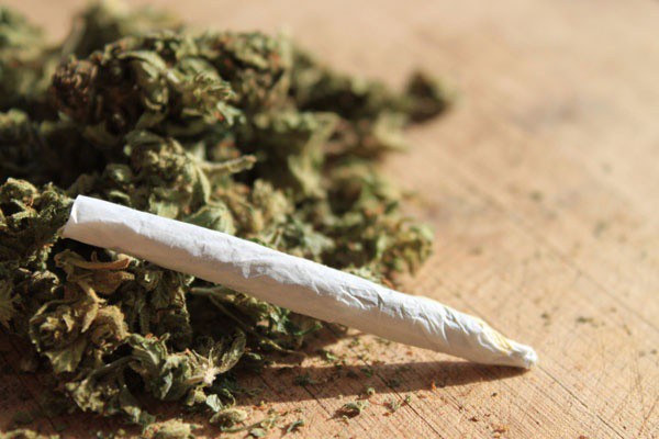 Presentan iniciativas para consumo de cannabis en DF