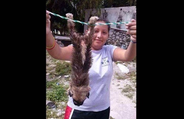 Entre bromas y lamentables casos de maltrato animal en Yucatán
