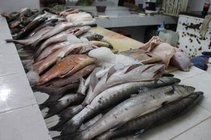 Podría aumentar hasta en un 80% la venta de pescados y mariscos