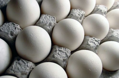 Yucatán ocupa el sexto lugar en producción de huevo