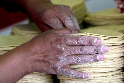 Subirá 1 peso el precio de la tortilla en junio en Yucatán