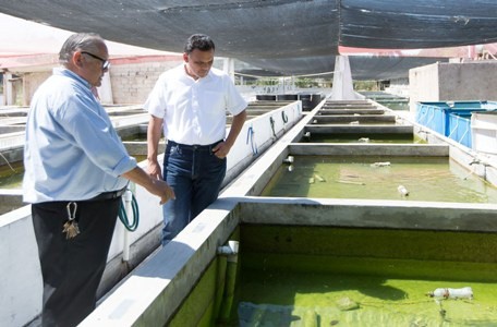 El gobernador Rolando Zapata Bello visita el criadero, ubicado en el municipio de Hunucmá