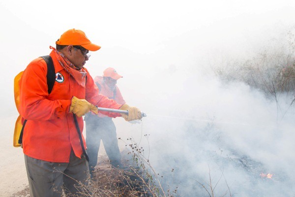 Ayudan brigadas de Protección Civil a prevenir incendios en la entidad