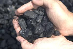 En lo que va del año se han decomisado 127 toneladas de carbón vegetal ilegal