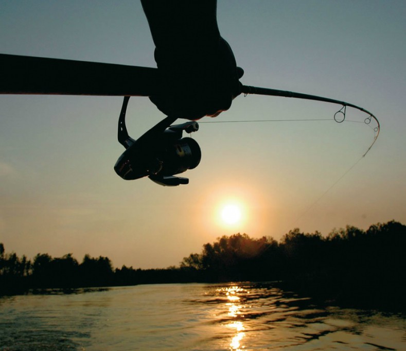 La pesca deportivo-recreativa actividad emergente en la Península