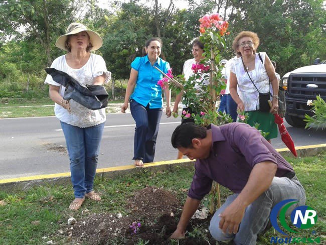 Siembran flores en Tizimín por el Día de las Madres