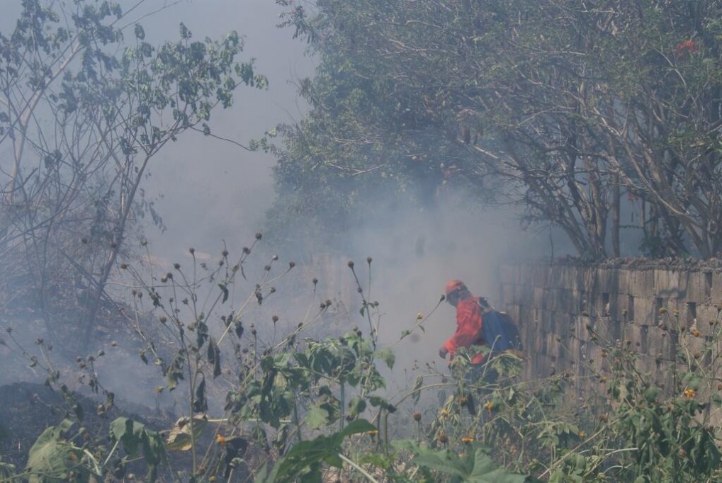 A la baja estadística de incendios en la entidad