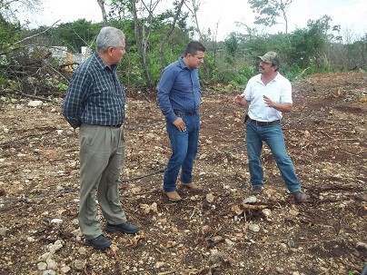 ESPITA: Ayuntamiento le apuesta a sistemas de riego que garantizan mejor producción en la agricultura.