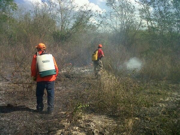 Yucatán con efectiva prevención y combate de incendios