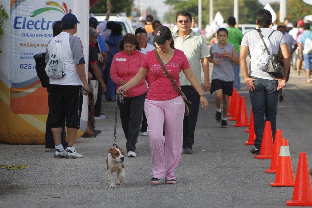 Este domingo se realizará la caminata canina Spezia en paseo verde