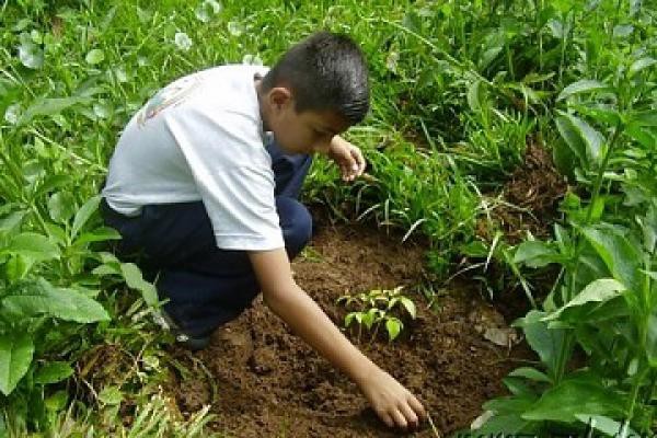 La asociación HunaB promueve la educación ambiental en niños