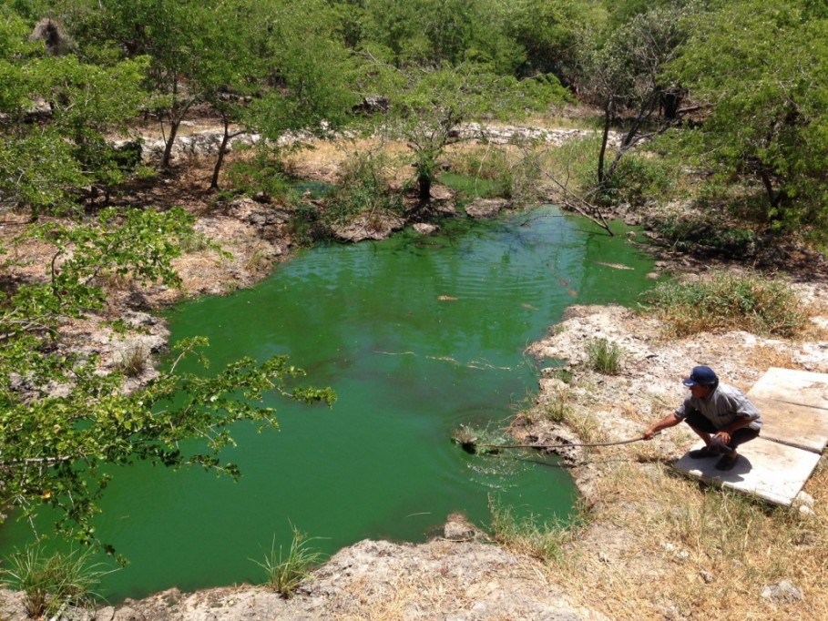 Gran variedad turística en comunidades mayas