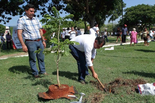 Continúa la siembra de un millón de árboles en Yucatán