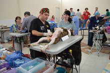 Kanasín: Inicia en Kanasín la Semana Nacional de Reforzamiento de Vacunación Antirrábica de Perros y Gatos 2013