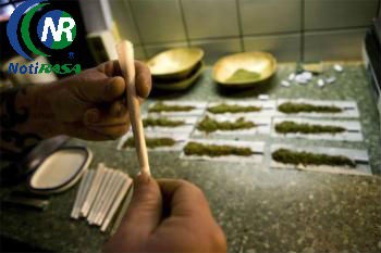 México no esta preparado para la legalización de la marihuana