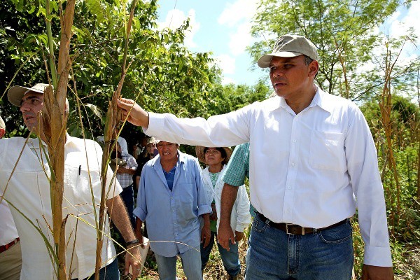 Apoyarán a productores afectados por plaga de la langosta