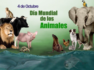 Celebran el Día Mundial de los Animales