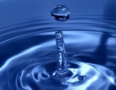 Se conmemora Día Interamericano del Agua