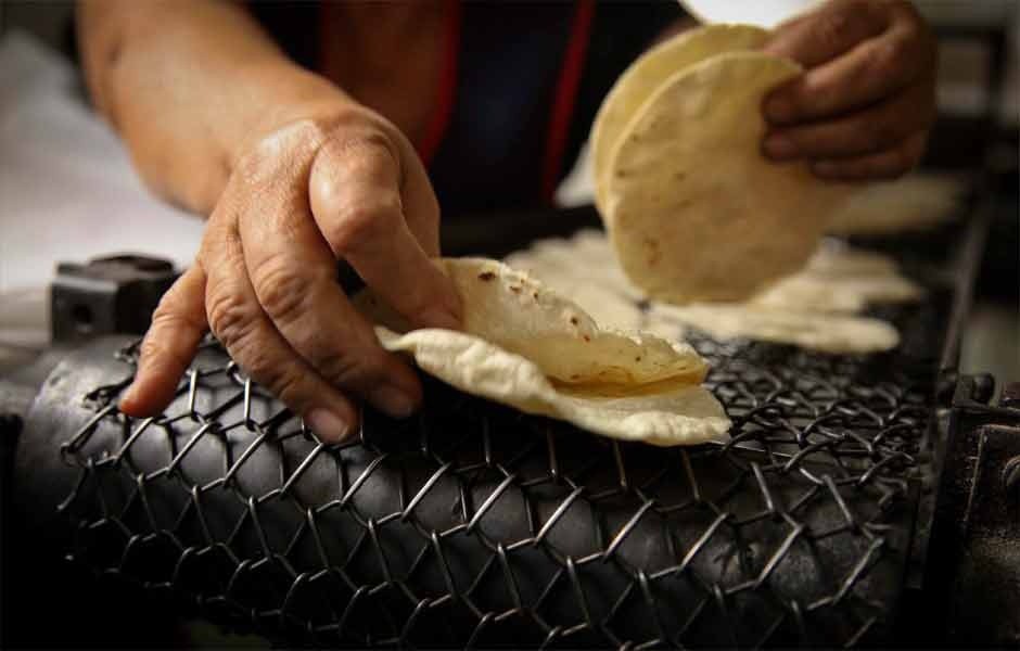Afirman que la industria de la masa y la tortilla en Yucatán, está en crisis