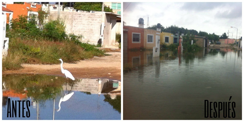 Decenas de casas inundadas en Kanasín