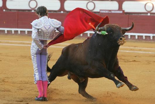 Toro matrero peligroso para el toreros yucatecos