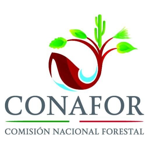 El Programa Nacional Forestal destinará en 2015 7 mil millones de pesos para todo el país