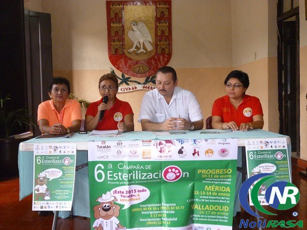 Realizarán campaña de esterilización masiva en Valladolid 