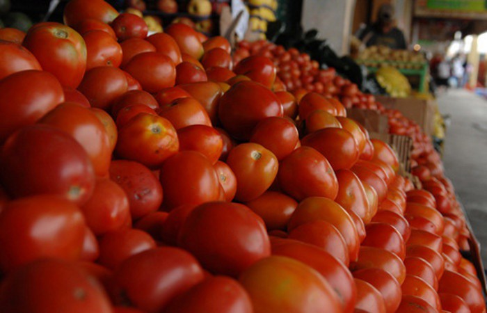 El precio del tomate a la baja