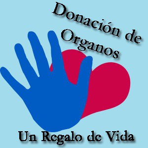 Yucatán supera la media nacional en trasplante de órganos y tejidos
