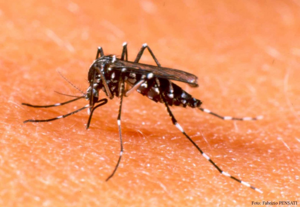 Prevenir  y combatir el dengue es otro de los compromisos cumplidos del gobernador