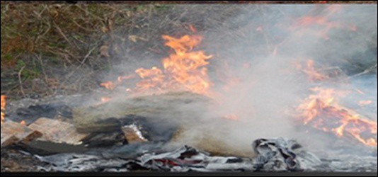 PGR incinera diversos narcóticos en Yucatán 