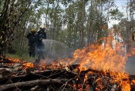 Invitan  a la ciudadanía a reportar incendios forestales