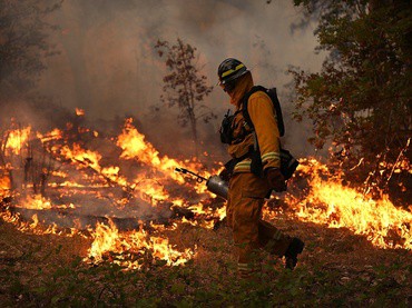 Se han registrado más de 500 incendios en el estado