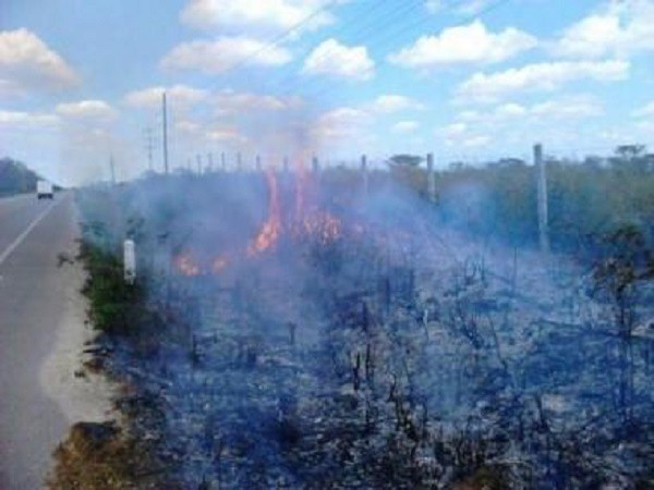 Abril registra 6 incendios salidos de control en Tizimín