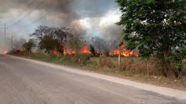 Se incendia invernadero de la Fundación APA, en Tizimín